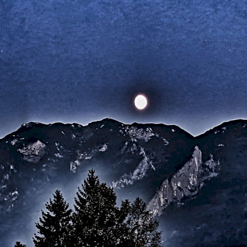 White Noise Shaman - I : The Dark Side of Untersberg