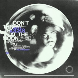 Don't Throw Rocks at the Moon