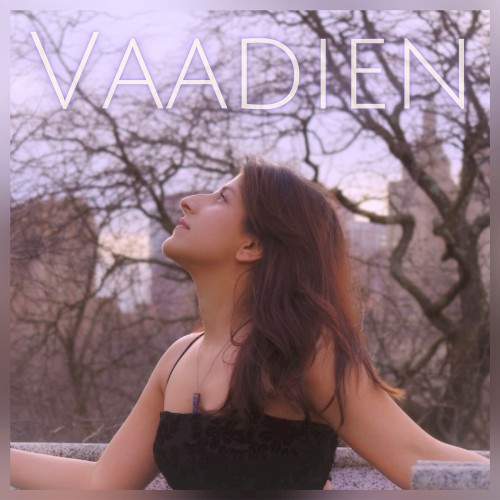 Vaadien
