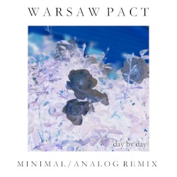 Day by Day (ainimal analog remix)