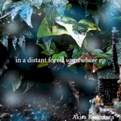 In a Distant Forest Somewhere EP