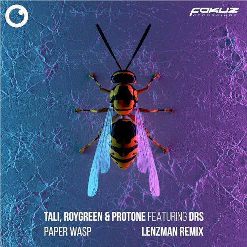 Paper Wasp (Lenzman remix)