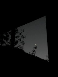 I Watch The Moon