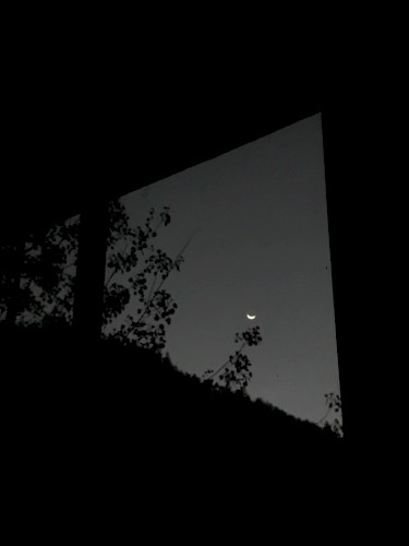 I Watch The Moon