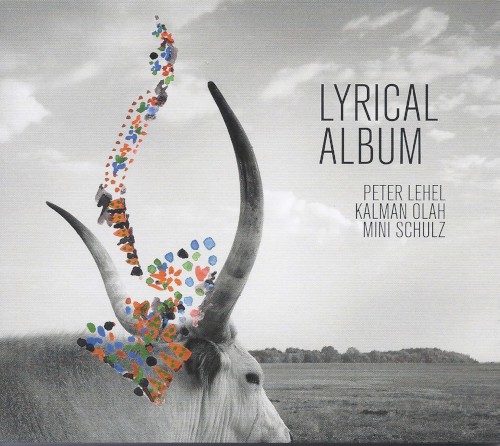 Lyrical Album