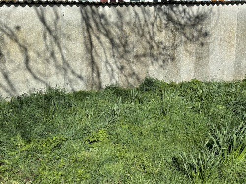 Landscape III