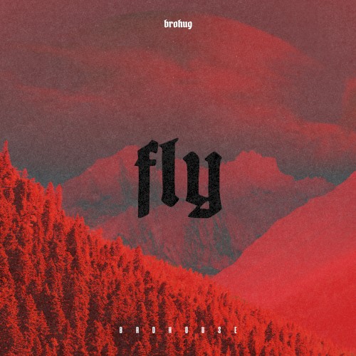 Fly