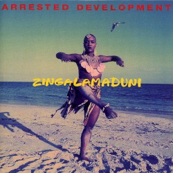 Zingalamaduni