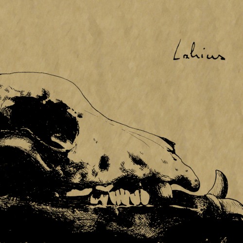 Lahius