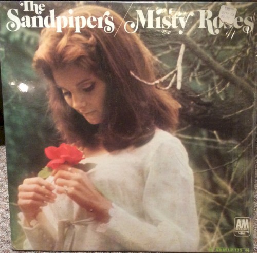 Misty Roses