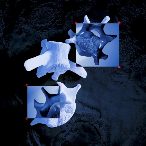 Totem Collapse EP