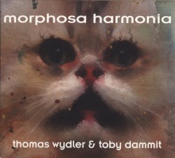 Morphosa Harmonia