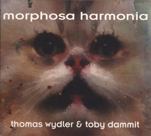 Morphosa Harmonia