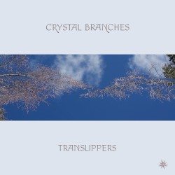 Crystal Branches