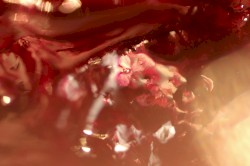 asian beauty l∞oop+Terry Riley / Don Cherry – Köln