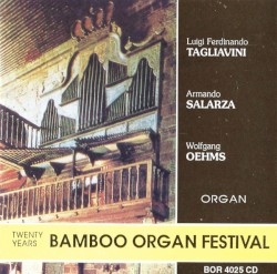 Twenty Years Bamboo Organ Festival