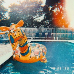 Summer Was Canceled