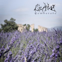 Cambarada / Cicadæ Split