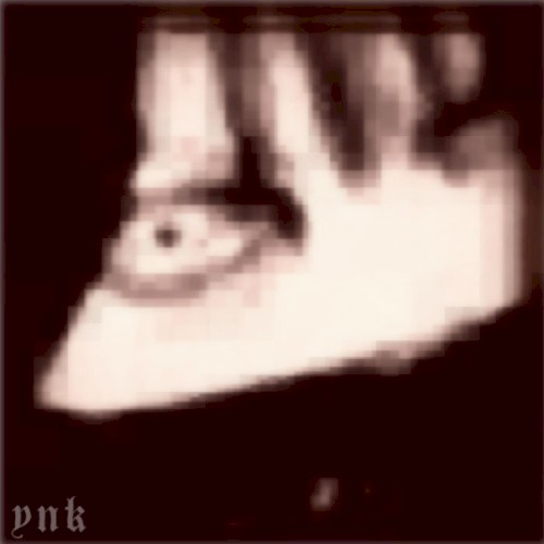 ynk