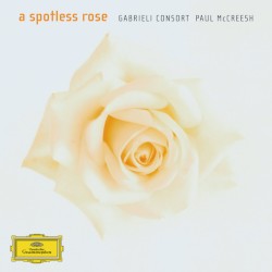 A Spotless Rose