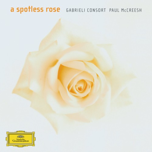 A Spotless Rose