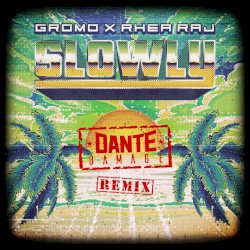 Slowly (Dante Damage remix)