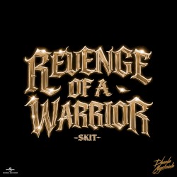 Revenge of a Warrior