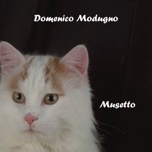 Musetto