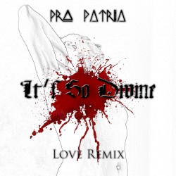 It's So Divine (Love remix)