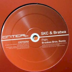 Pain (Brookes Bros. remix) / Fritenight