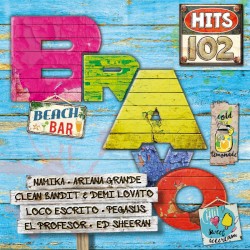 Bravo Hits 102