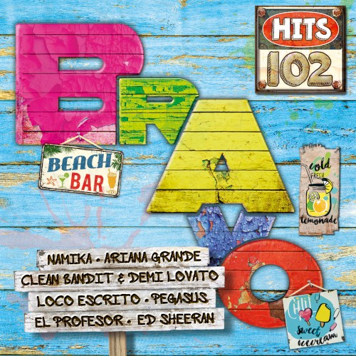 Bravo Hits 102