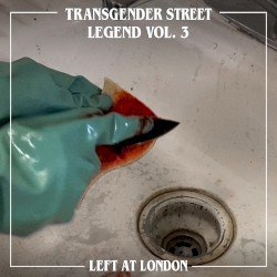 Transgender Street Legend, Vol. 3