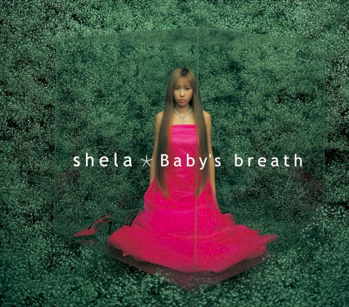 Baby's breath