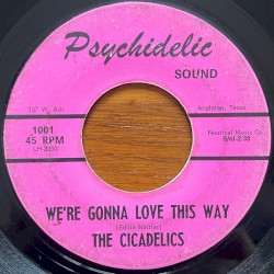 We're Gonna Love This Way / What Can I Do ?