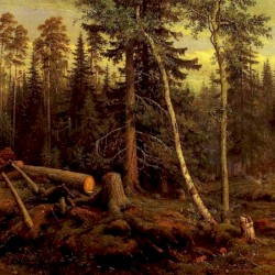 Dreams of Forests