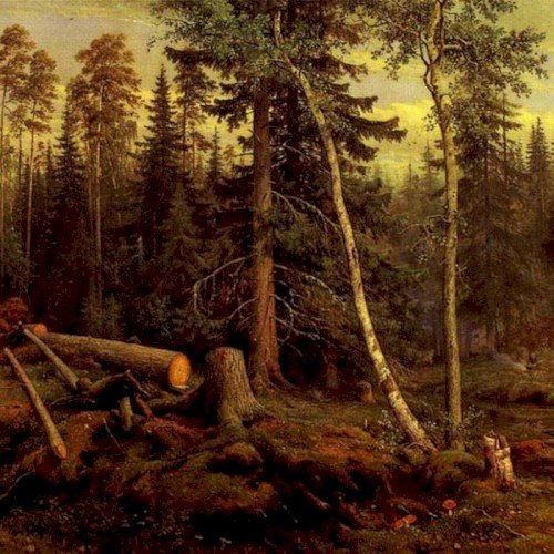 Dreams of Forests