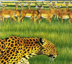 zoo