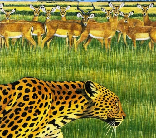 zoo