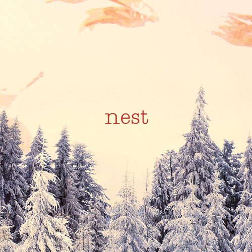 Nest