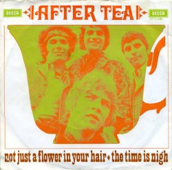 Not Just a Flower in Your Hair / The Time Is Nigh