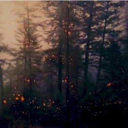 Garden of Embers