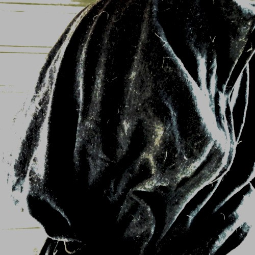 Reclused