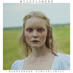 Wildflowers