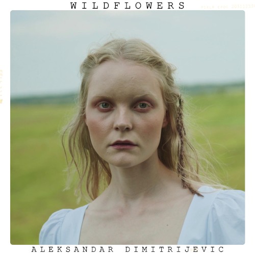 Wildflowers