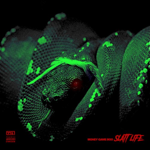 Slatt Life