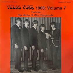 Texas Punk, 1966: Vol. 7 - Featuring The Briks & The Chaparrals