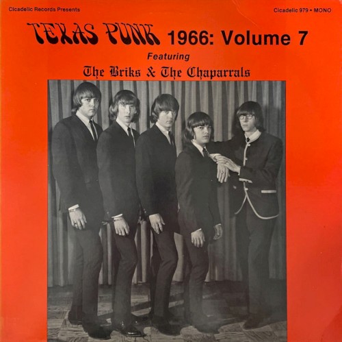 Texas Punk, 1966: Vol. 7 - Featuring The Briks & The Chaparrals