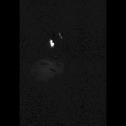Nacht