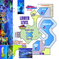 Ripley's Aquarium